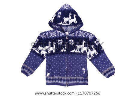 
Blue sweater with a hood with an ornament isolated on a white background
