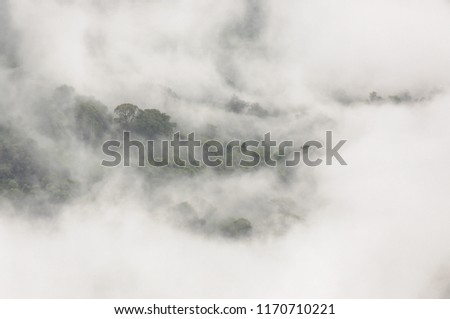 Unforgottable mist in Thailand