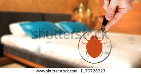 Hand with magnifying glass detecting bed bug