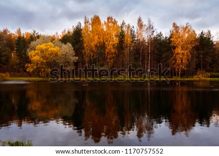 reflection of autumn trees in a park pond