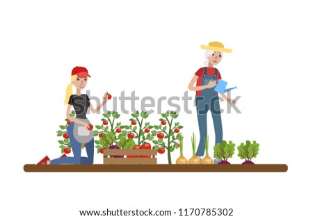 Happy female farmers watering patches with vegetables and harvesting. Tomato, onion and beet harvest. Fresh and healthy food. Isolated vector flat illustration