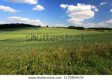 Summer landscape fields near Winchcombe town, Gloucestershire, Cotswolds, England