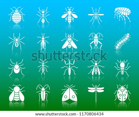 Danger Insect silhouette icons set. Isolated web sign kit of bed bug. Beetle pictogram collection dragonfly, fly, spider. Simple danger insect contour symbol with reflection. White vector icon shape
