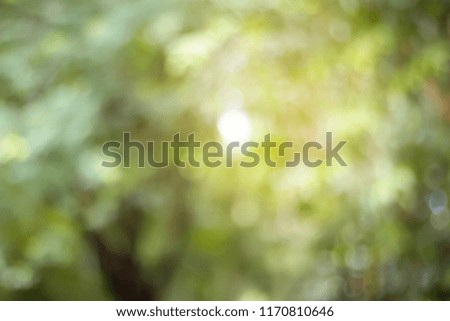Blurred of Green natural background for design.