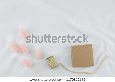 Brown gift box with rope decorate with pink rabbit tail grass on white background with copy space