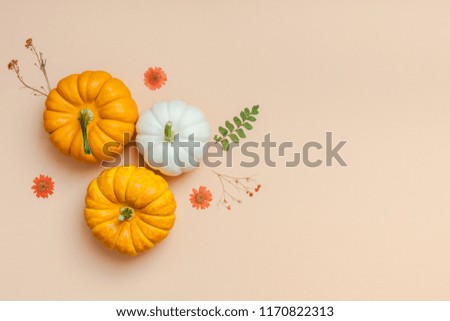 Creative Top view flat lay autumn composition. Frame made of pumpkins dried flowers leaves color paper background copy space. Template fall harvest thanksgiving halloween anniversary invitation cards