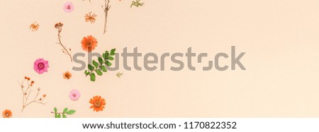 Creative Top view flat lay autumn composition. Dried flowers and leaves on color paper background with copy space. Template for fall harvest wedding anniversary invitation cards Long wide banner
