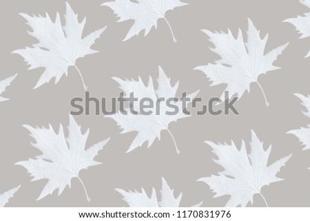 White painted autumn leaf pattern on white background. Minimal season concept.