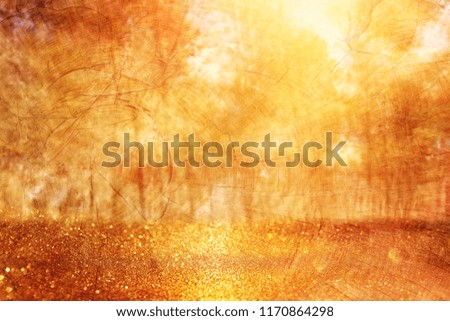 blurred abstract photo of light burst among trees and glitter golden bokeh lights