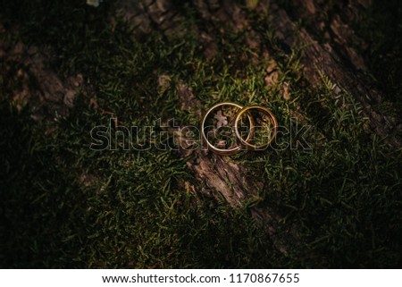 Wedding, engagement rings, wooden moss