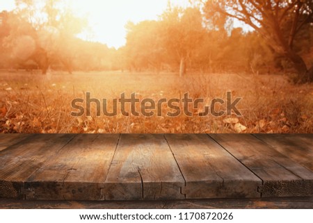 image of front rustic wood boards and background of fall leaves in forest.