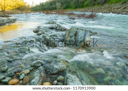 Rapid shallow river with rocks on bottom and sedge flowing through forest lit by sun