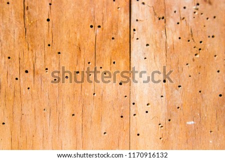 Old wood furniture with wood worm holes, that are destroying the furniture itself and have to be exterminated Royalty-Free Stock Photo #1170916132