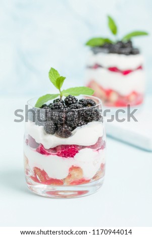 Fresh healthy multilayered dessert trifle with raspberries and blackberries on pastel blue background. Organic sweet food with dairy and forest fruits - closeup photography.