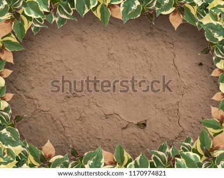 leaves frame with a clay texture background
