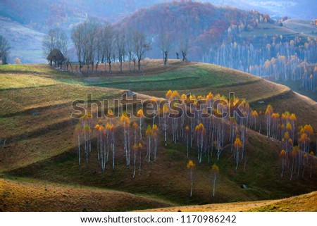 Colorful trees and morning fog in autumn mountains