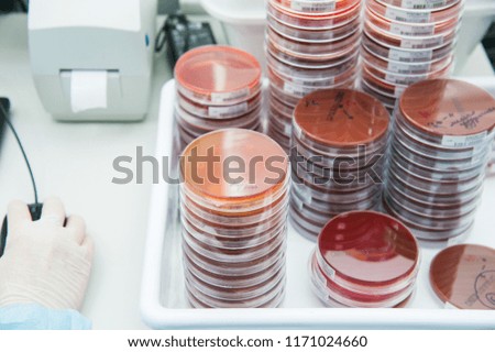 Working table with Biological samples on the microbiology laboratory