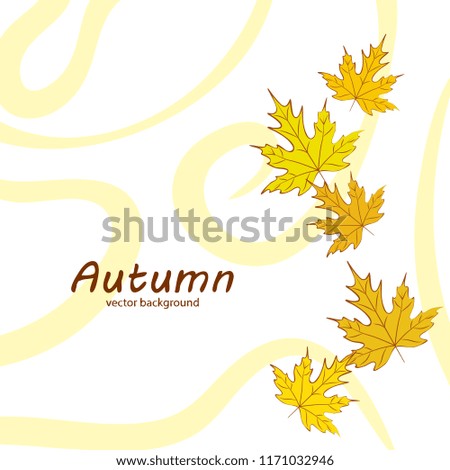 maple leaves autumnal vector background