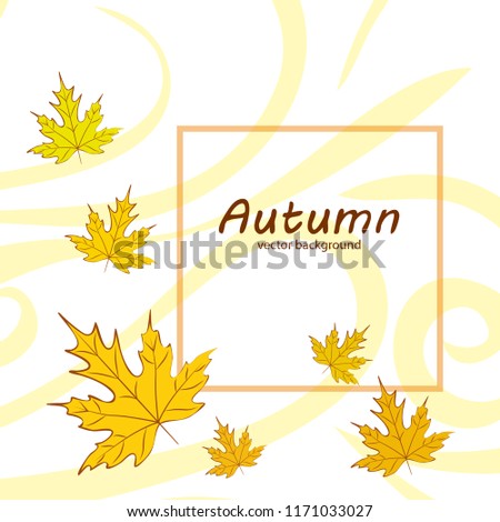 maple leaves autumnal vector background