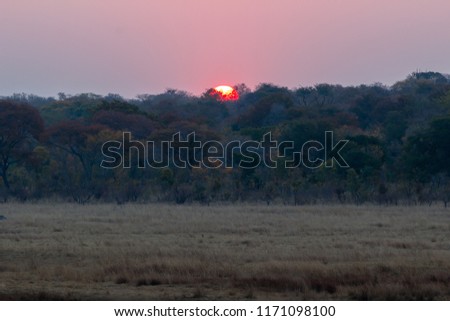 Sunset at Hwenge national park, Zimbabwe