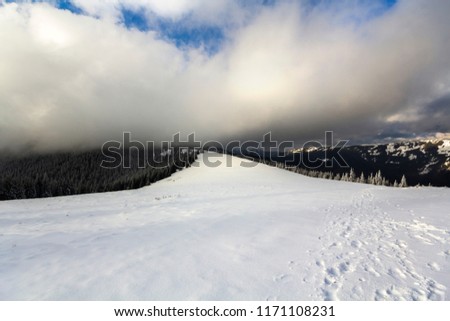 Winter mountain landscape with snow covered pine trees and low clouds