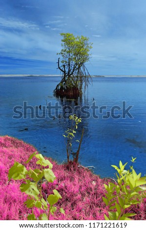 Beautiful colorful lake (infra red photography) 