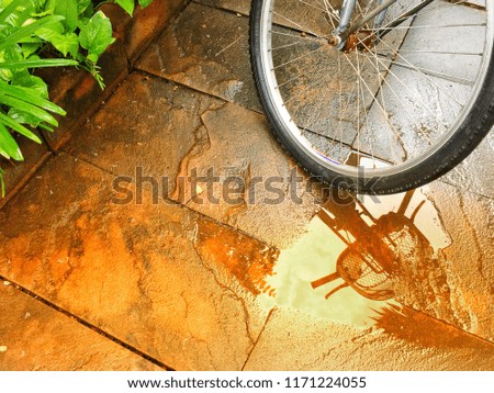  reflex of  bicycle wheel after rain on floor