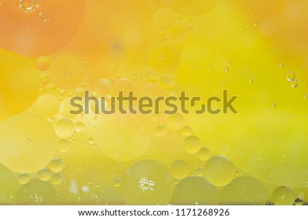 Circle Oil & Water Abstract Colorful Macro Background