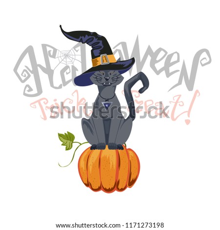 Halloween illustration with black cat on moon background.
