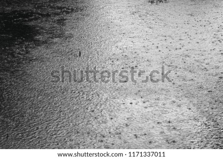rainy weather.Drops of water fall on surface of river during rain,black and white picture