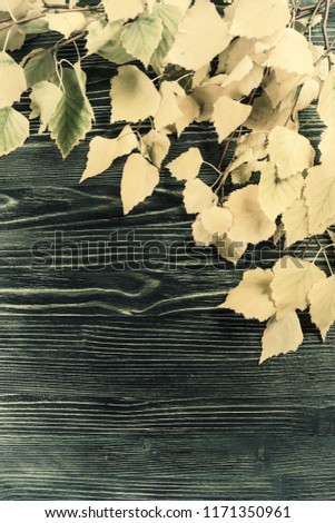Autumn background with leaves on wooden boards