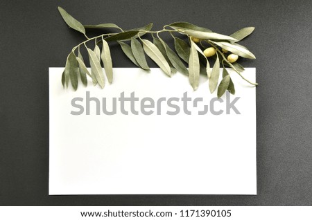Template with green olive branch