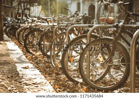 Many bicycles are parked in a row on Leipzig Street in Germany. Autumn. Ecological transport and a popular means of transportation in Europe.