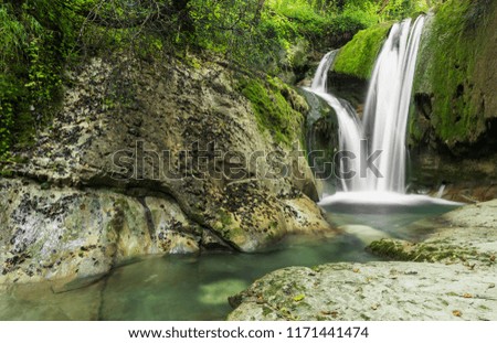 waterfall in the wood