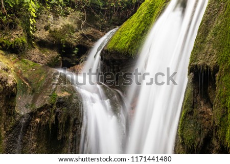 waterfall in the wood