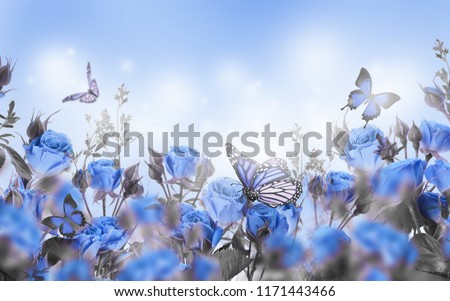 Bouquet of pink roses with butterflies, garden flowers. Floral background.