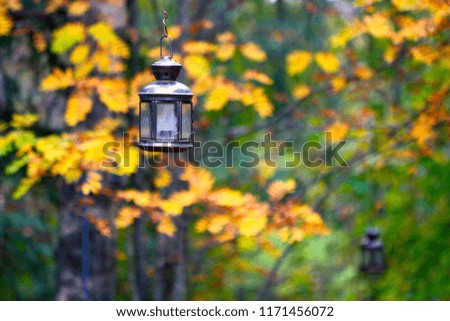 Lantern and Yellow Leaves