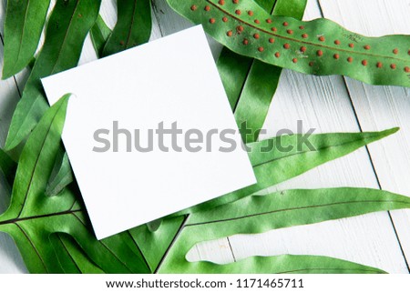 Flat lay over Blank white paper on green Hawaii fern leafs for message space concept
