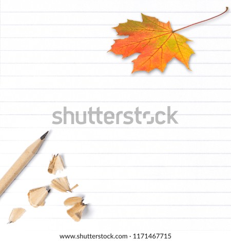 Exercise book page with autumn maple leaf. School background