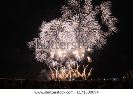 Nagaoka firework festival in Japan