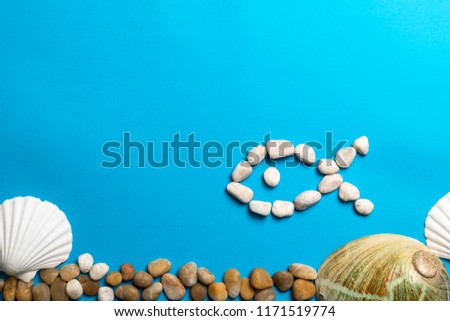 Close up photo of white shells, stones and abalone shell isolated on blue background, copy space