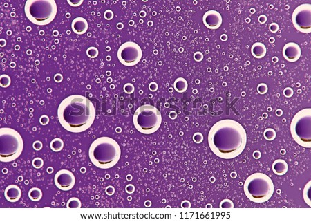 purple wet background / raindrops for overlaying on window, weather, background drops of rain water on glass transparent