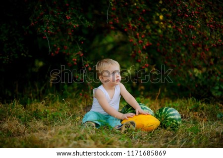 little baby eating watermelon outdoors.Child eating watermelon in summer park.Young blond boy has healthy eating habits.little boy with watermelon, series of happy child pictures eat watermelon .