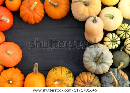 Frame made of colorful pumpkins and squashes.
Autumn food background