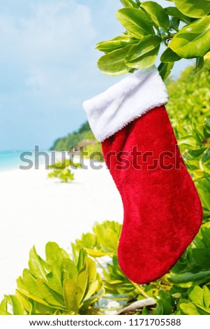 Noel holiday greeting card with Santa stocking on tropical leaf, beach background. New Year travel vacation concept, nobody
