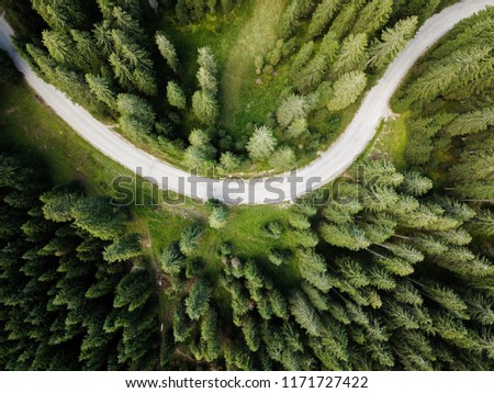 Vertical aerial view of spruce and fir forrest (trees) at Pokljuka, Julian Alps, Slovenia. Royalty-Free Stock Photo #1171727422