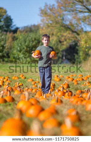 Boy with pumpkins on the pumpkin patch. The child chooses a pumpkin at the pumpkin patch.vertical