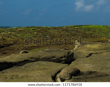 Rocks discovered during low tide, showing their cover of green algae and crustaceans, in the background a small piece of the ocean and the blue sky with few clouds, Costa dos Corais, AL, Brazil