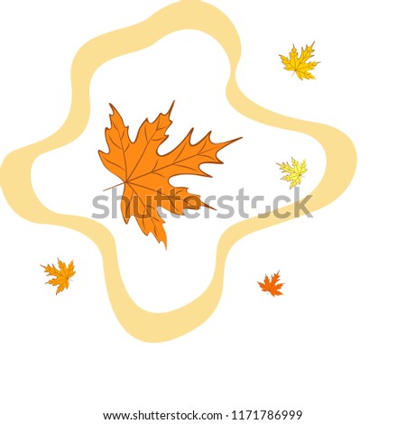 autumn maple leaves autumnal vector background
