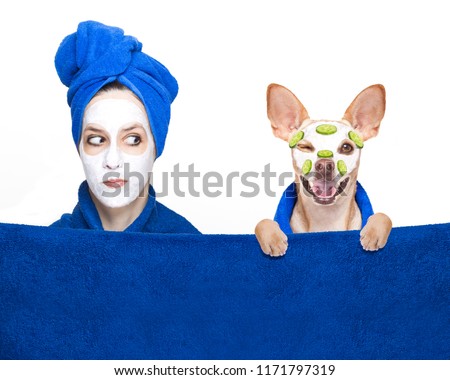 young woman or girl  with beauty facial cream mask on face  with chihuahua dog with wellness treatment, isolated on white background